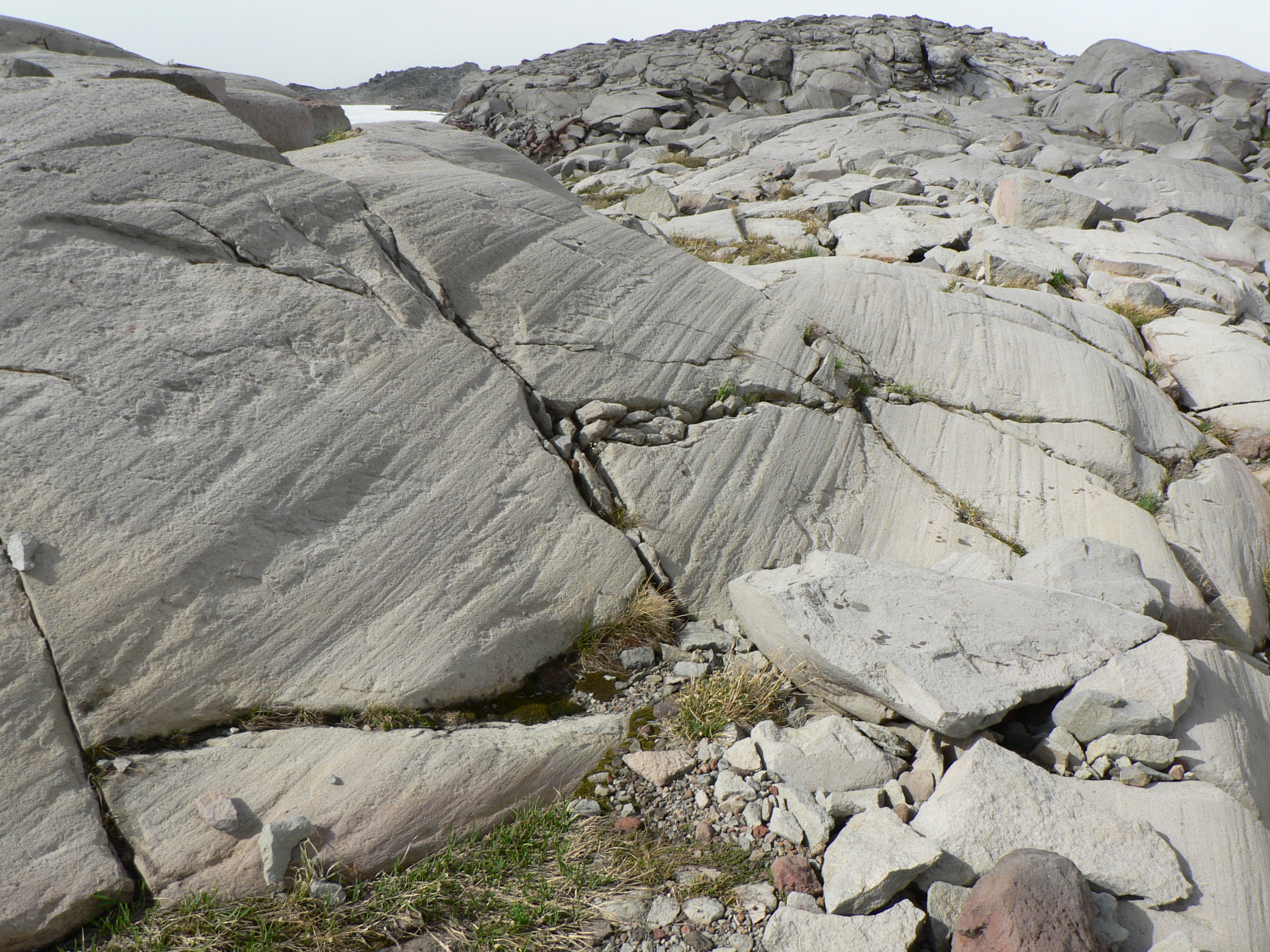 Long, parallel scratches known as glacial striations provide definitive evidence that a massive glacier once dragged abrasive rocks across this solid bedrock.