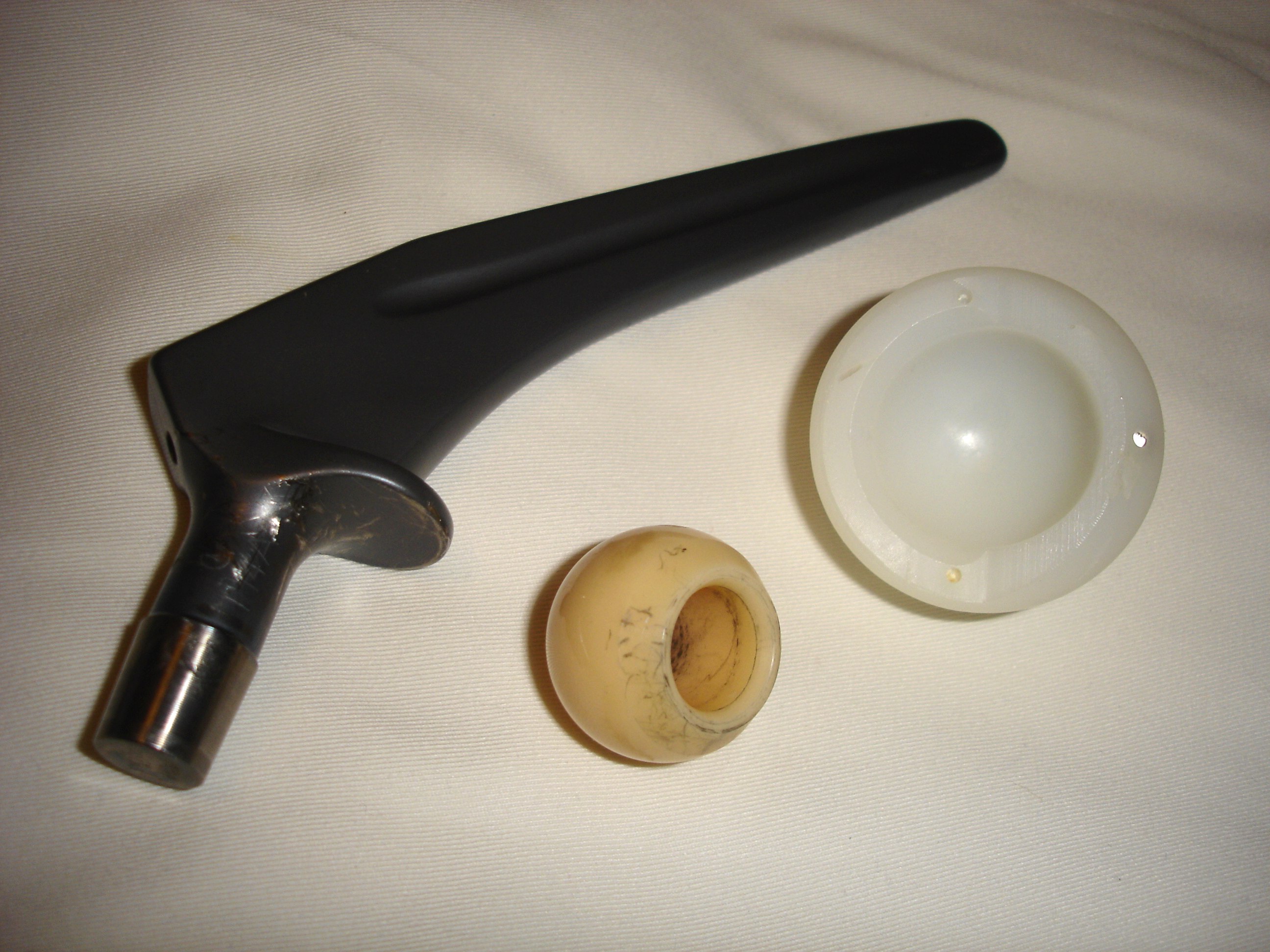 A titanium hip prosthesis. Physical therapists focus on gross motor mechanics, helping clients regain mobility and strength following major orthopedic procedures like hip replacements.