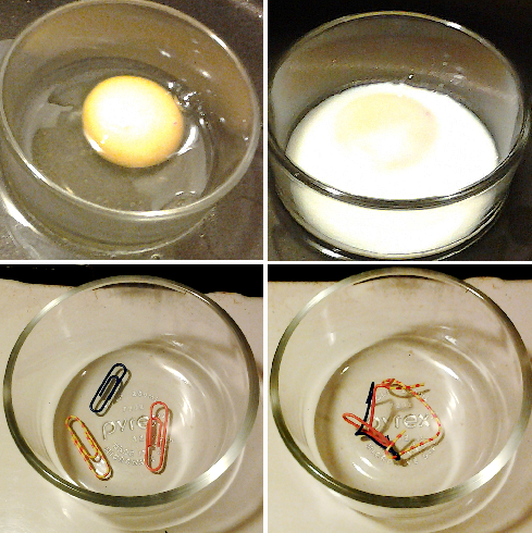 The denaturation of the protein albumin in an egg white caused by heat. Environmental stress disrupts the fragile bonds maintaining the protein's 3D structure, resulting in a permanent loss of biological function.