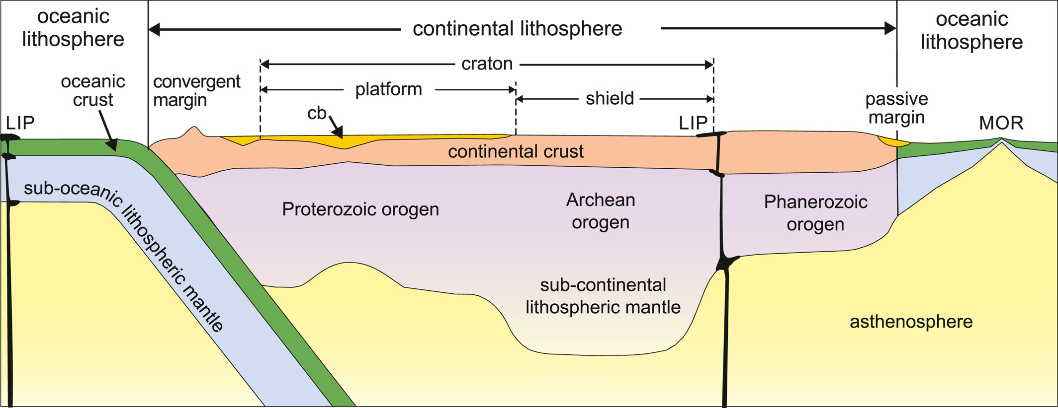 The mechanical division of the outer Earth: the rigid, brittle lithosphere is broken into tectonic plates that float upon the hot, ductile asthenosphere.