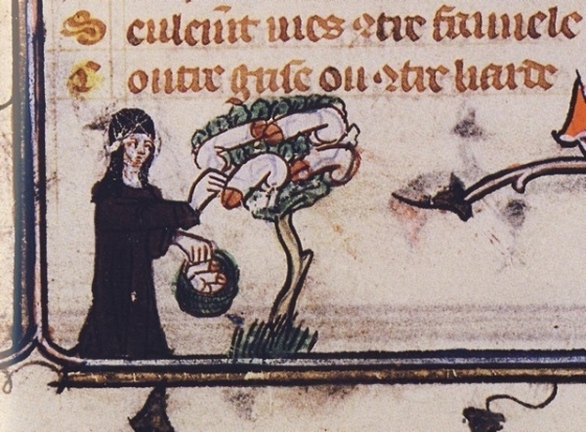 Historical marginalia in a medieval text. Teaching active annotation requires students to create a permanent, visual record of their analytical thinking directly in the margins of their reading.