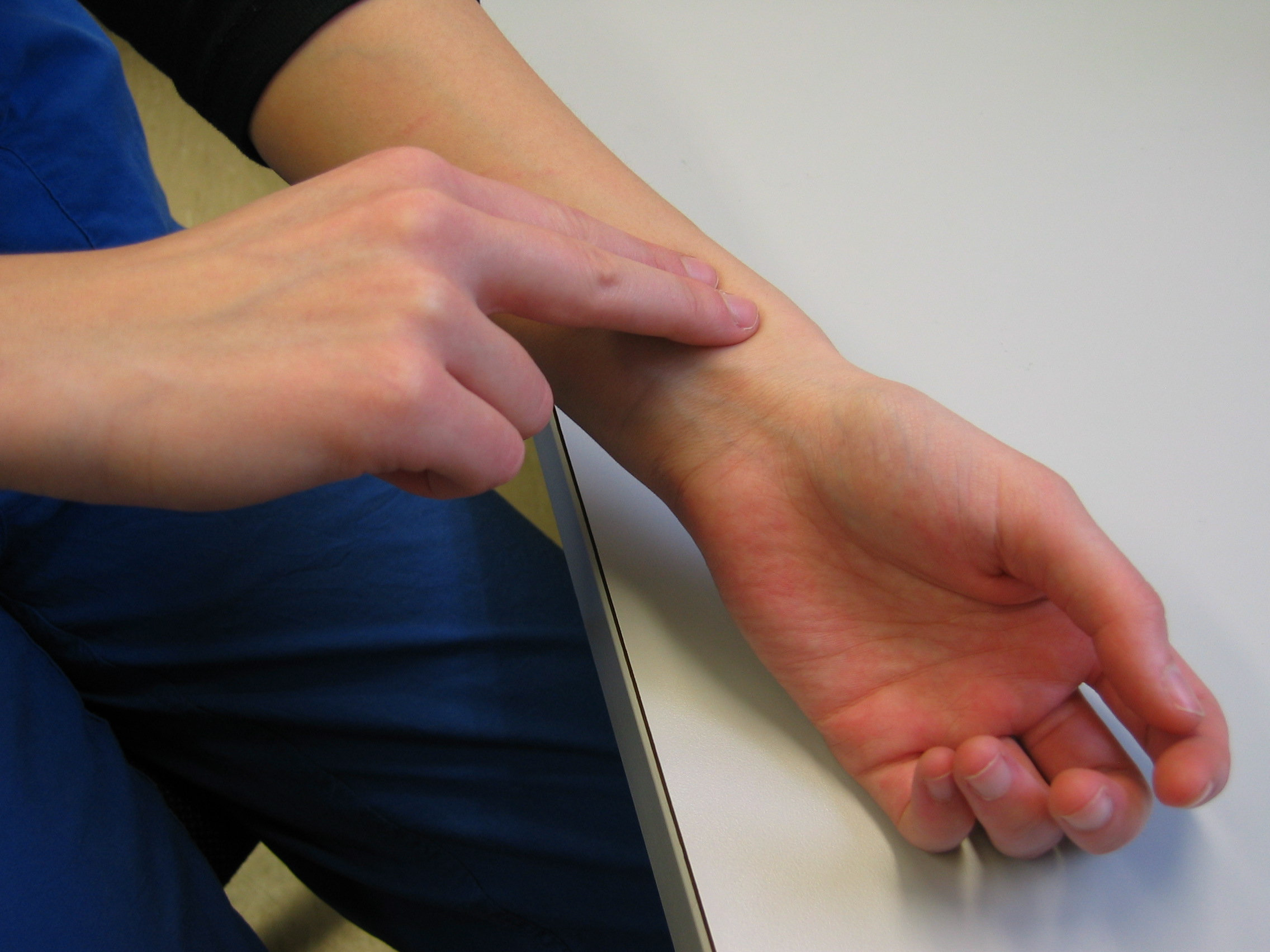 Palpating a peripheral radial pulse, a crucial clinical step in assessing the circulatory health of a restrained extremity to ensure blood flow is not compromised.