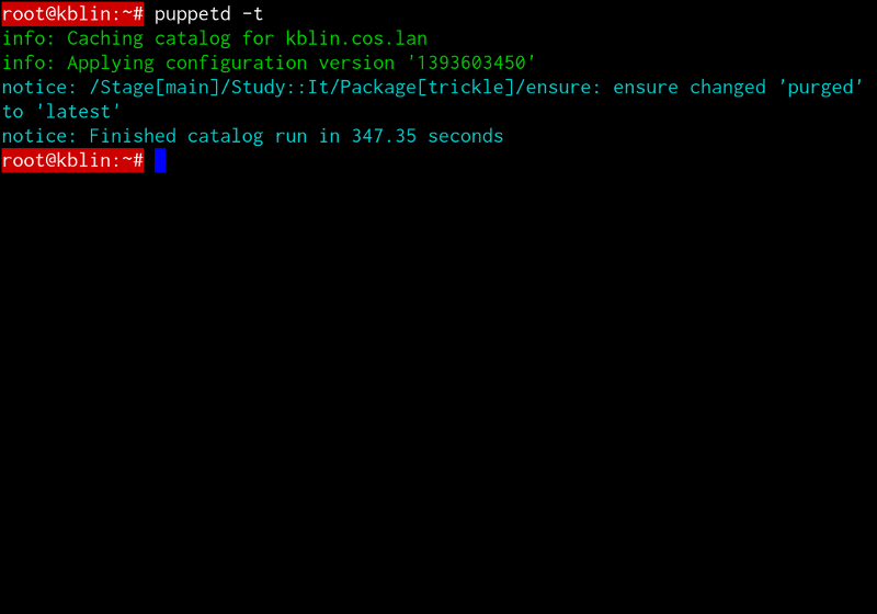A command-line interface demonstrating a run of Puppet, a configuration management tool used to automatically deploy, enforce, and monitor secure baseline states across enterprise systems.