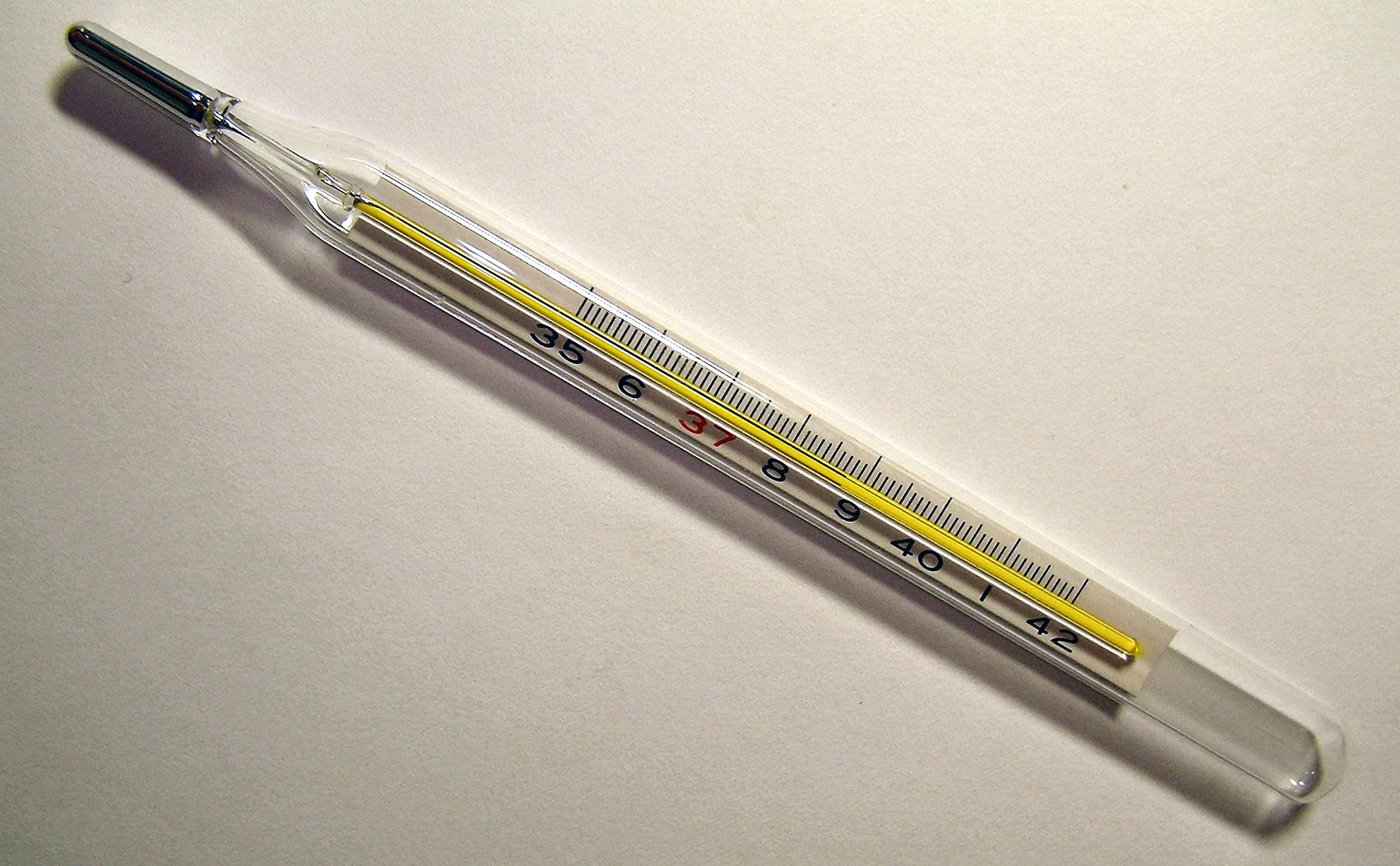 A clinical thermometer displaying a precise reading. Objective writing relies on verifiable data and universal facts—like a documented patient temperature—rather than the writer's personal feelings.