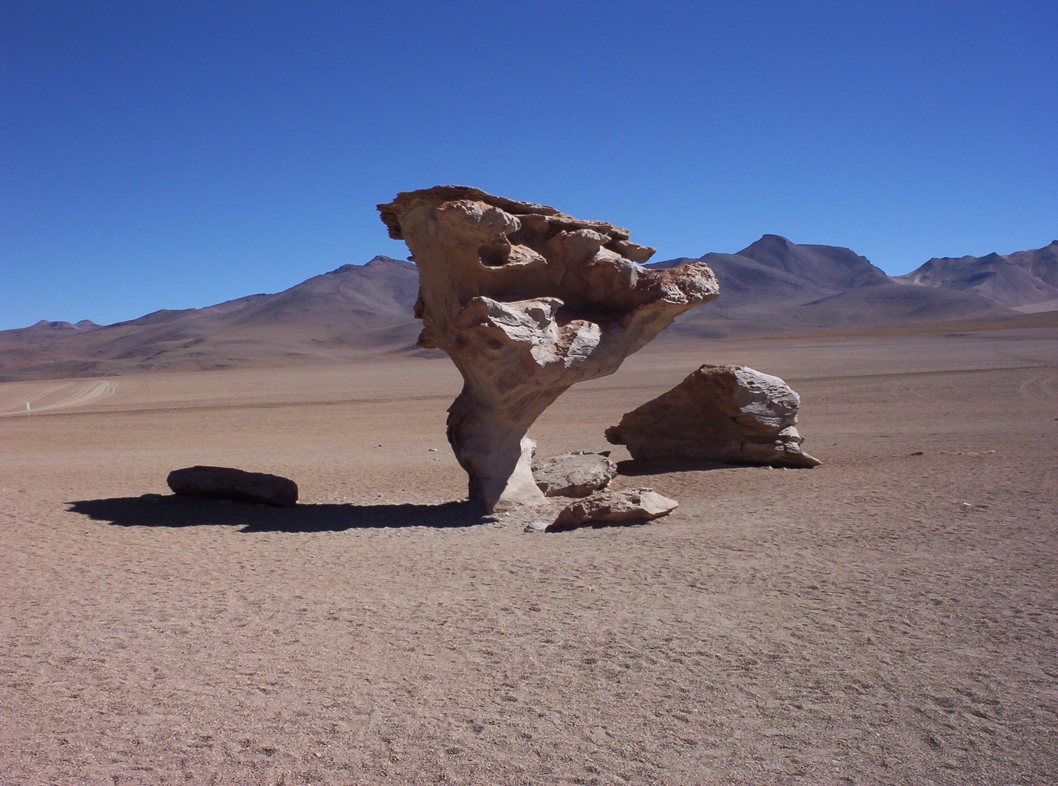 Wind acts as a powerful agent of weathering and erosion, sandblasting exposed rock formations over time in arid environments.