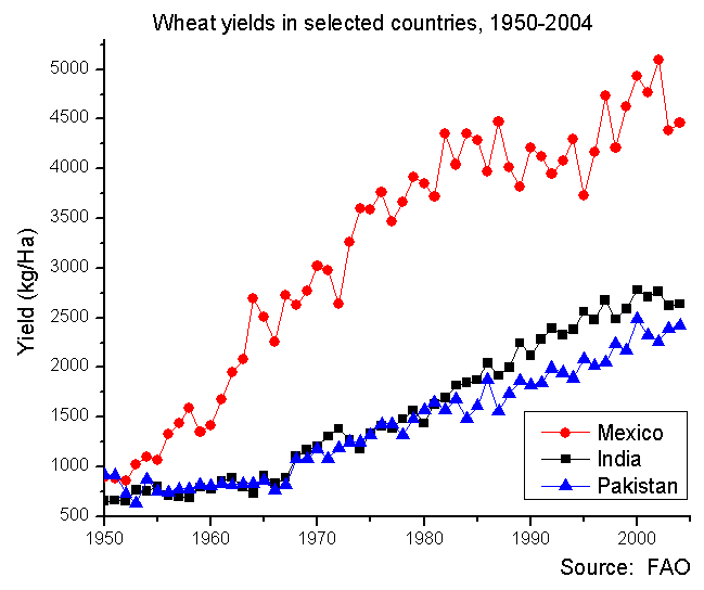 A graph demonstrating the massive explosion in wheat yields in developing nations, driven by the high-yielding seed varieties and chemical fertilizers introduced during the Green Revolution.