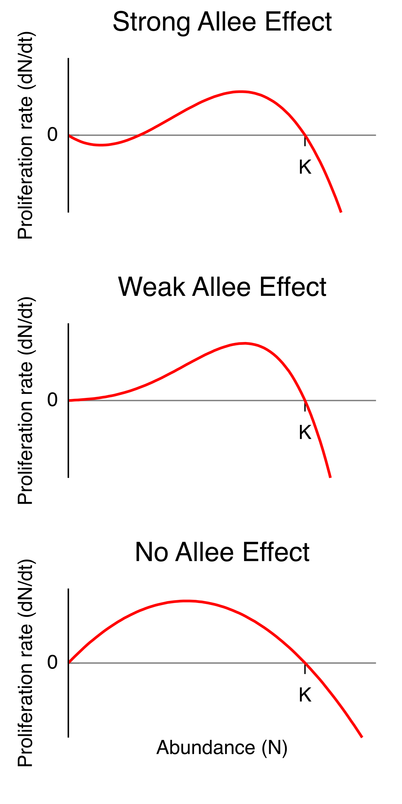 The Allee effect illustrates that at extremely low population densities, the per capita growth rate can decline rather than increase, potentially driving a severely depleted population toward extinction.