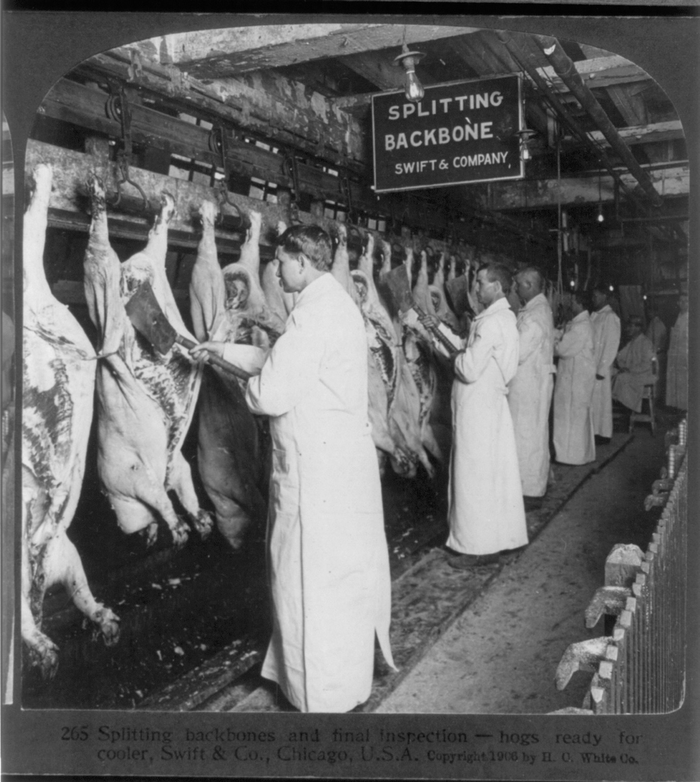 Federal meat inspectors at work in a Chicago plant in 1906, a direct regulatory response to the public outrage over unsanitary practices generated by Upton Sinclair's "The Jungle".