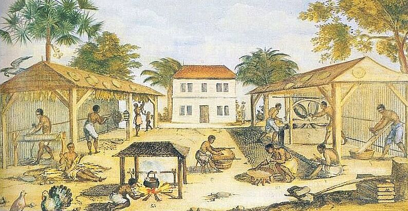 A 1670 painting depicting enslaved Africans working on a colonial tobacco plantation in Virginia. The immense labor requirements of cash crops drove the Southern colonies to abandon indentured servitude in favor of permanent chattel slavery.