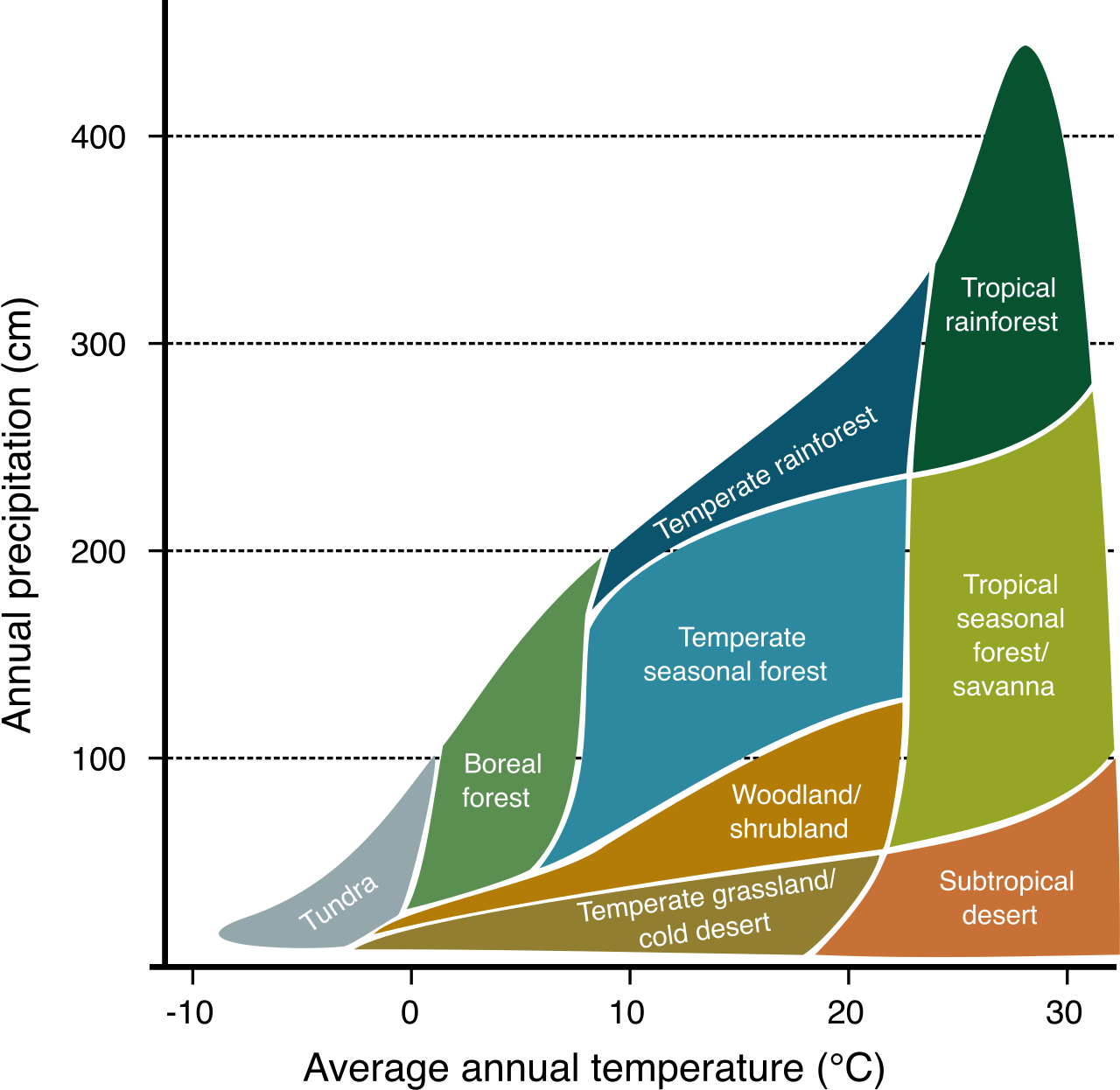 Temperature and precipitation are the primary climatic drivers that dictate the distribution of terrestrial plant communities and the boundaries of their respective biomes.
