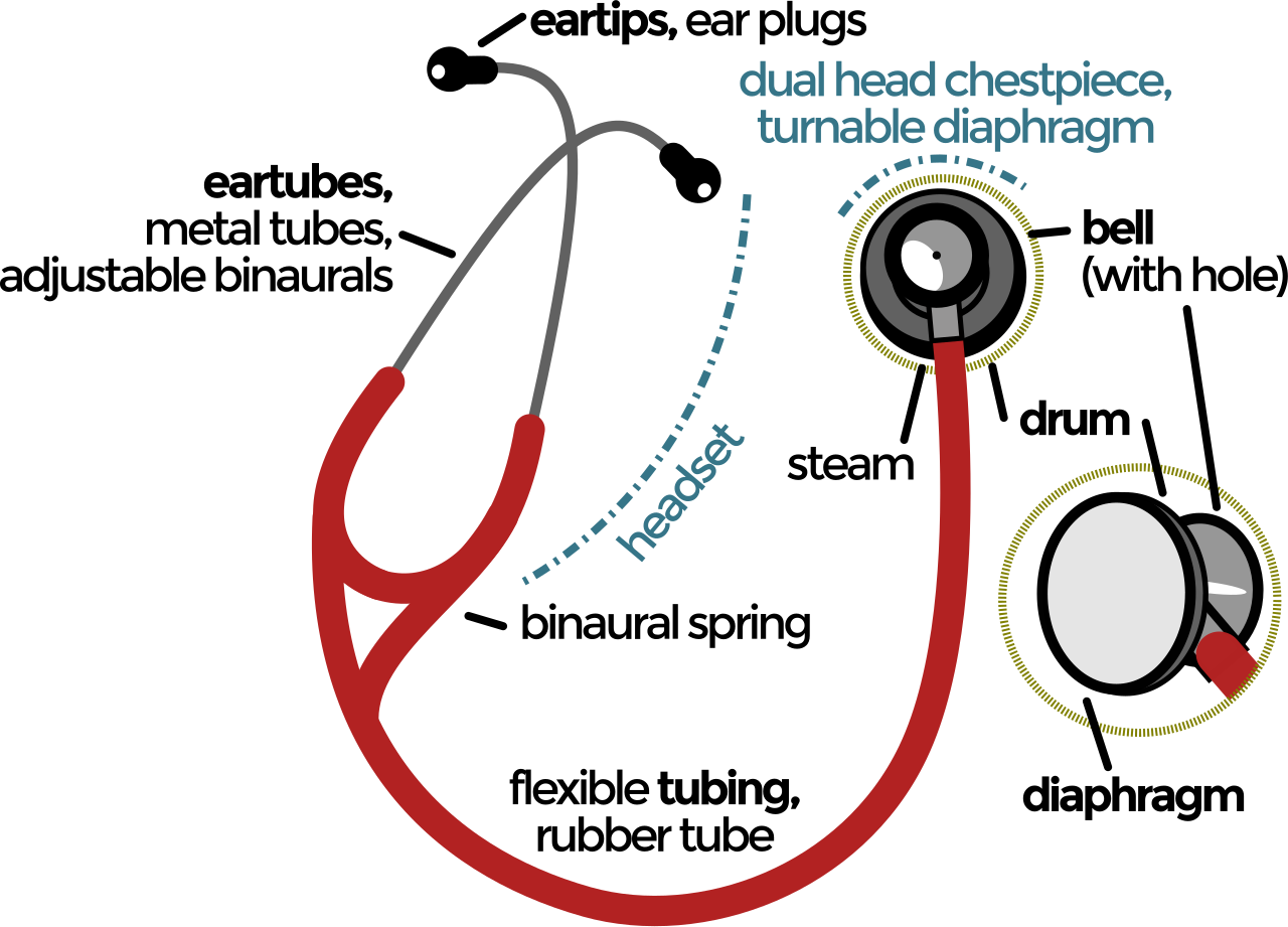Diagram of a binaural stethoscope. The chest piece utilizes acoustic physics, with the larger diaphragm designed for high-pitched sounds and the smaller bell for low-pitched sounds.
