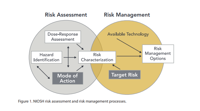 Risk assessment acts as the foundational, analytical component within the broader, continuous cycle of organizational risk management.