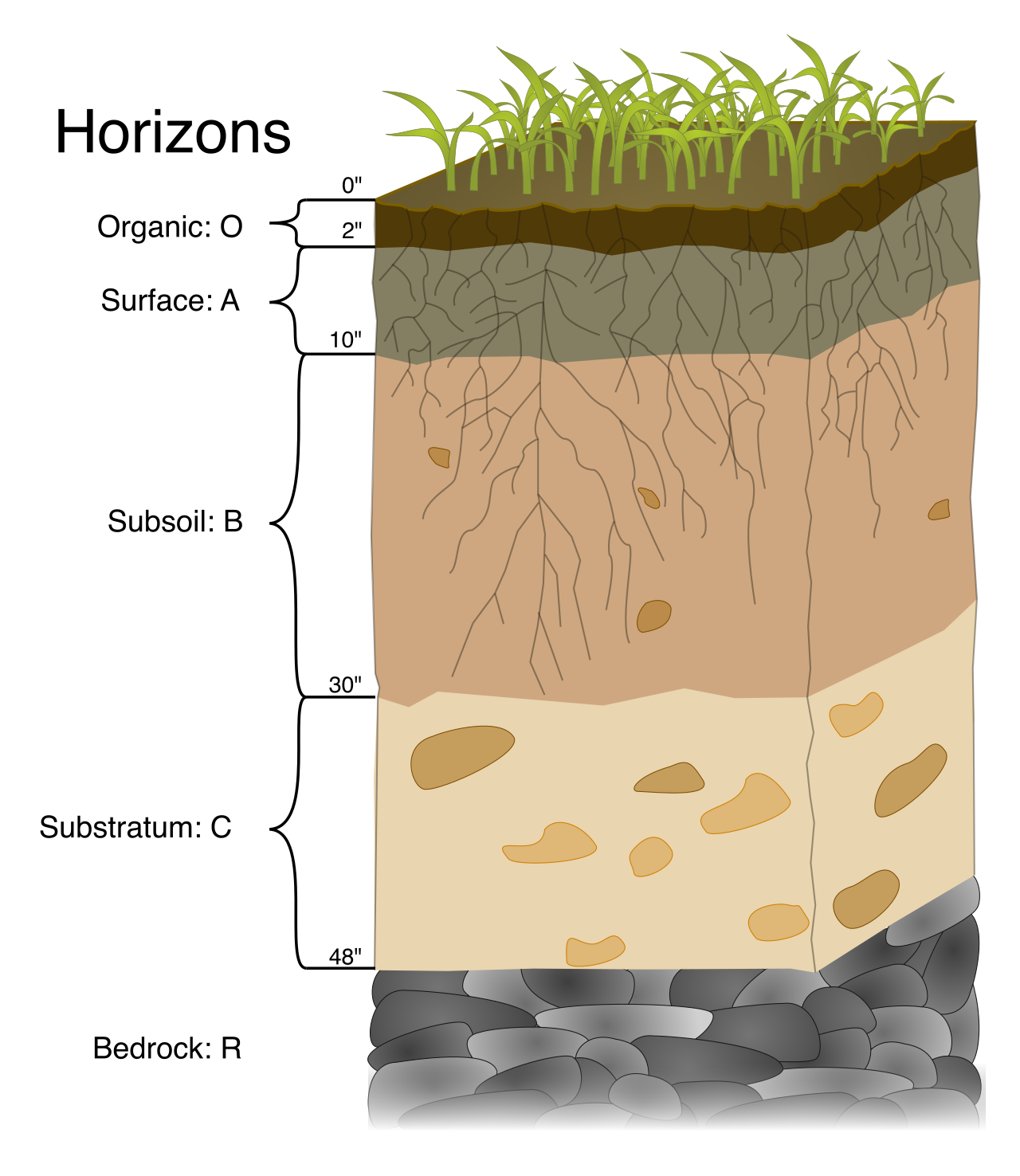 A soil profile demonstrating how underlying bedrock (labeled R) can create a unique, property-specific hardship that makes standard construction financially unfeasible.