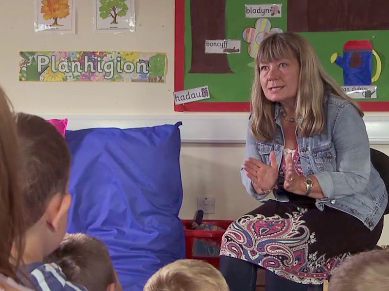 Cen Williams first formulated the concept of translanguaging while observing Welsh bilingual classrooms, noting how students fluidly utilized their entire linguistic repertoire to maximize cognitive processing.
