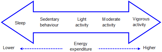 A chart comparing energy expenditure across different activity levels. A text exploring how a sedentary lifestyle causes metabolic changes relies heavily on cause-and-effect organization.