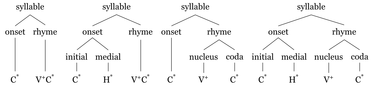 A structural model of a syllable demonstrating its primary linguistic division into an onset (the opening consonant sounds) and a rime (the vowel nucleus and any closing coda consonants).