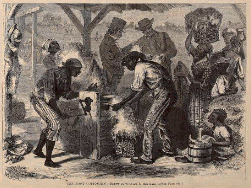 An 1869 engraving illustrating the use of an early cotton gin, an invention that drastically increased the profitability of cotton and solidified the South's reliance on enslaved labor.