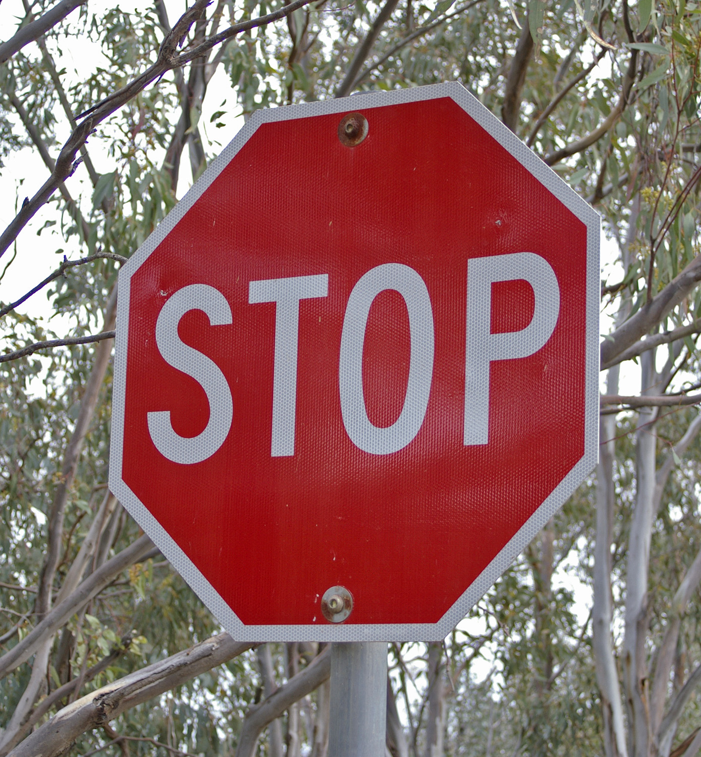 Environmental print, such as the familiar red octagon of a STOP sign, often serves as a child's first realization that specific symbols communicate specific messages.