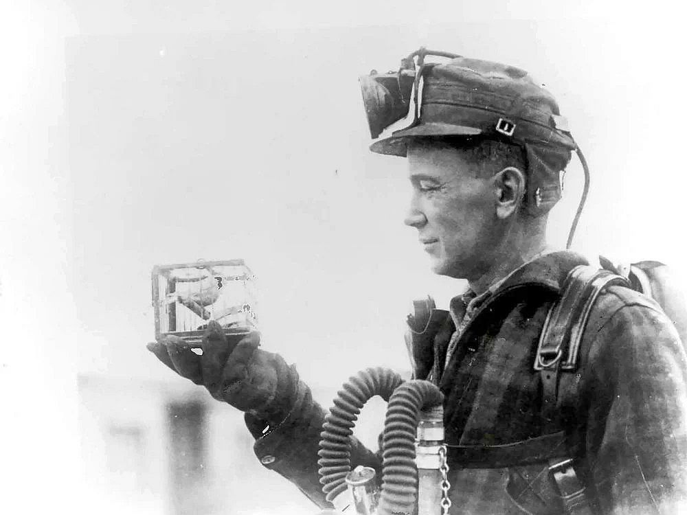 Historically, coal miners used canaries to detect invisible toxic gases. In software engineering, stack canaries act as a similarly vital early warning system, crashing the program to prevent exploitation if memory corruption is detected.