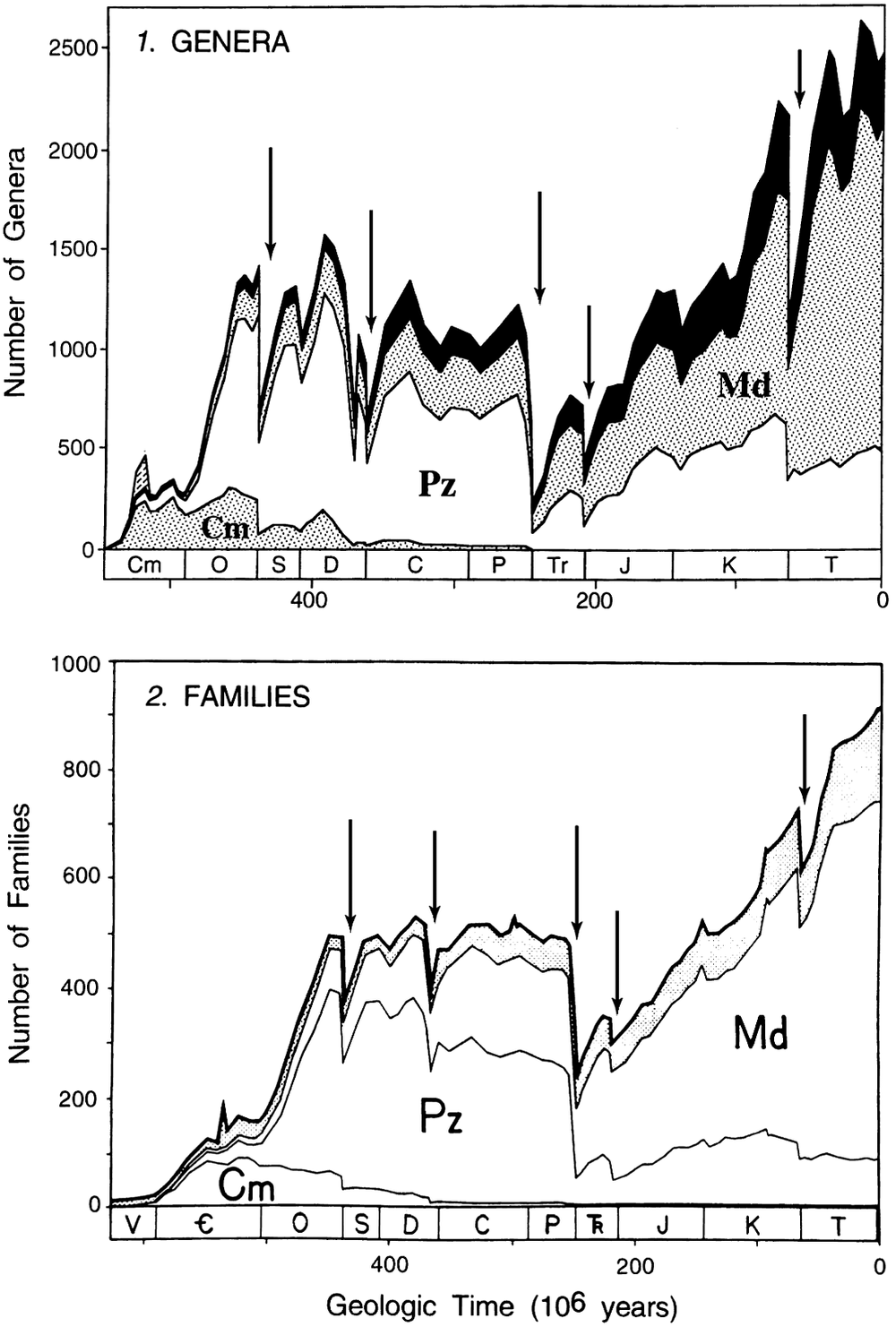 The geological record tracks changes in biodiversity over time, clearly showing the "Big Five" mass extinction events as sharp declines in the number of surviving taxonomic groups.