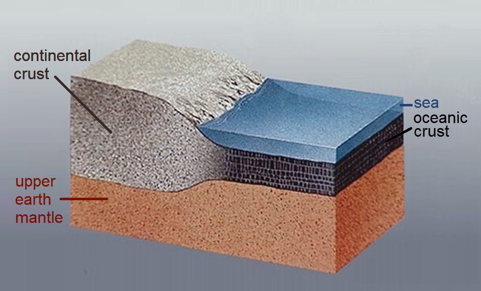Cross-section comparing the thick, less dense granitic continental crust with the thin, dense basaltic oceanic crust.