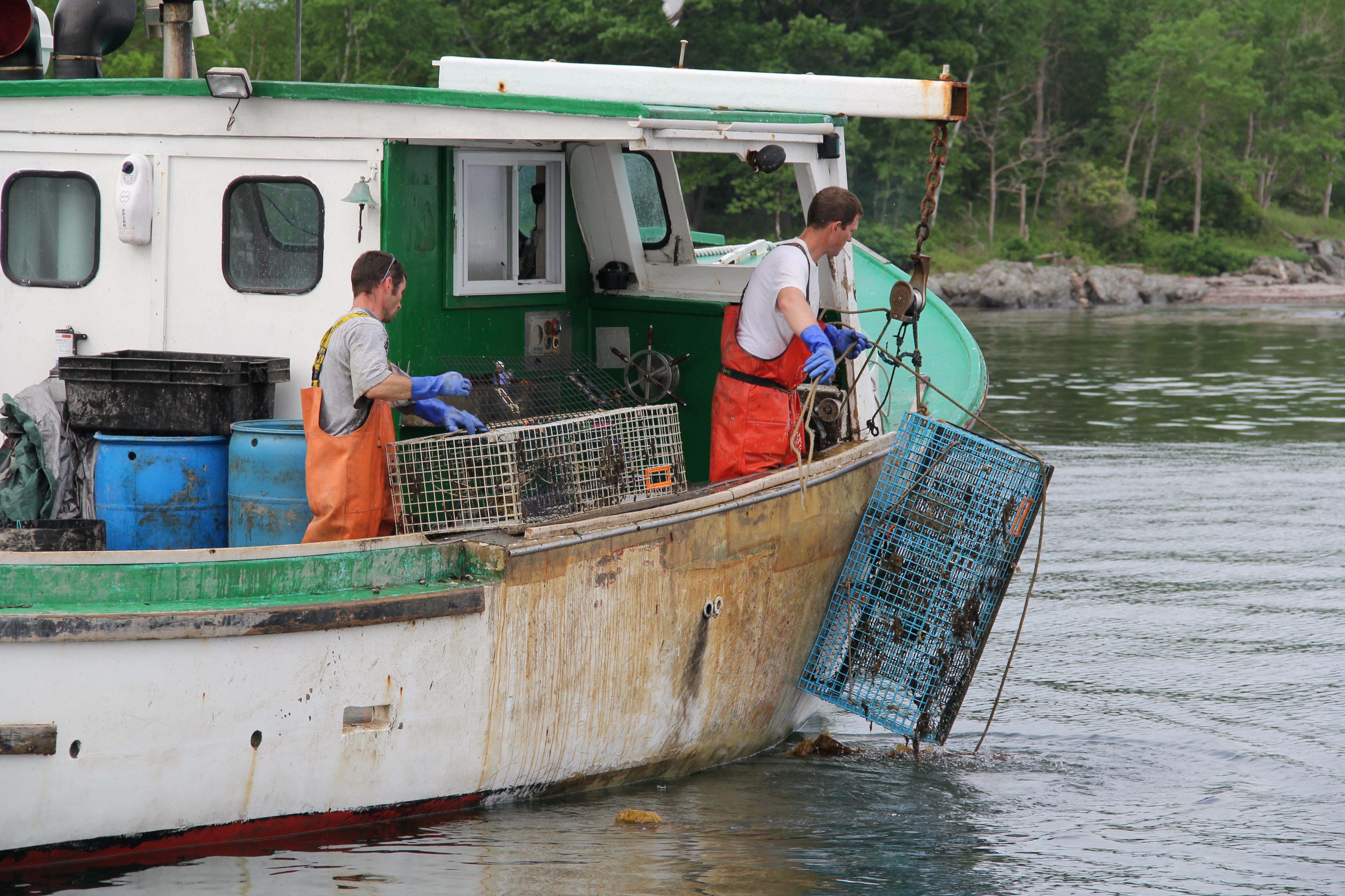 An effective research question narrows a massive topic into a specific constraint, such as the economic impact of climate change on Maine's coastal fisheries.